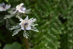 DSC 7952