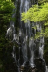 DSC 1608
